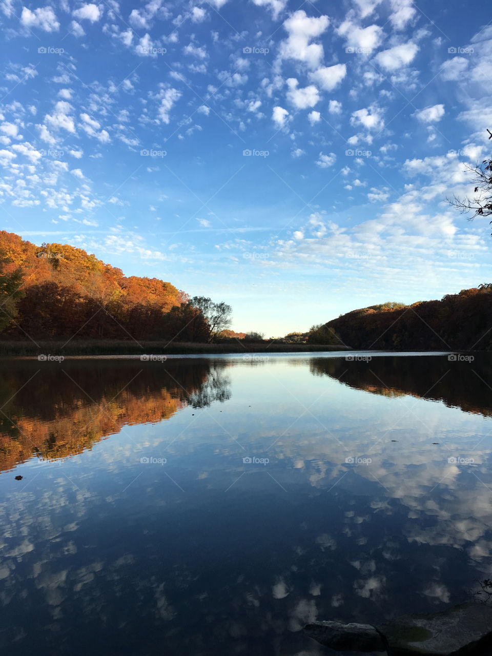 Scenic shot of beautiful fall foliage along the Genesee River just outside of Rochester, NY.