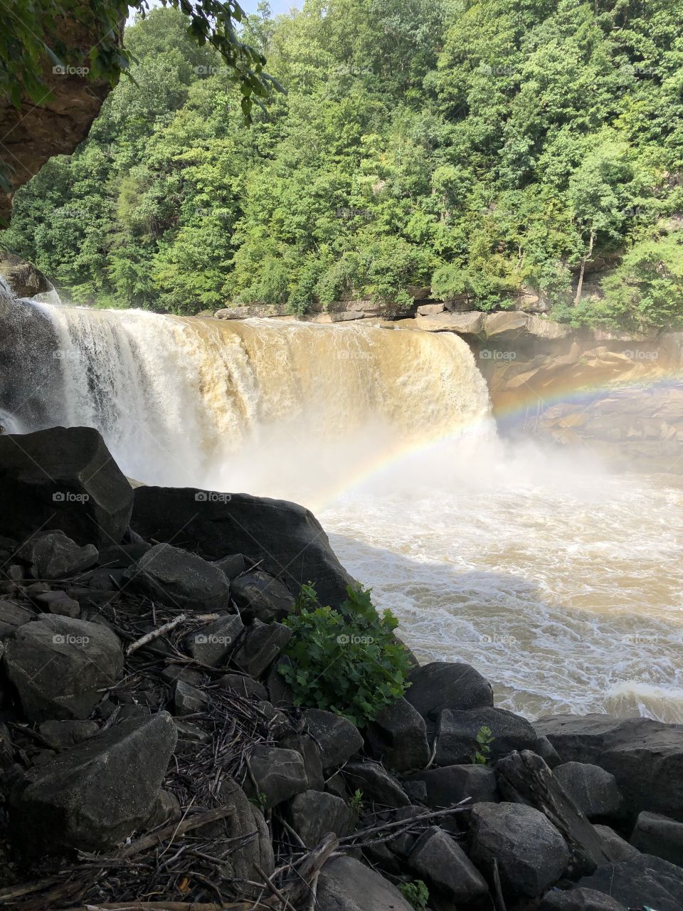 Waterfall at Cumberland Falls 