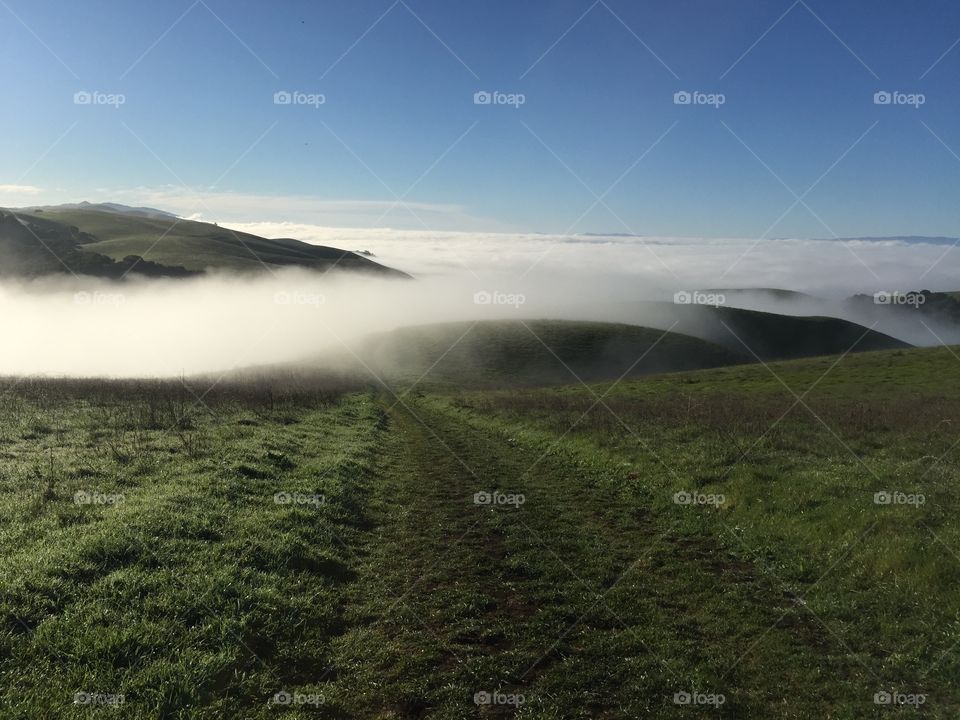 A hiking trail looking  over the Fog lined Silicone Valley.