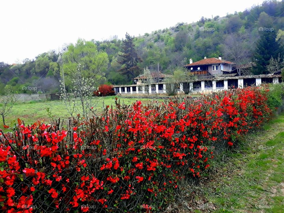 Village in Bulgaria 