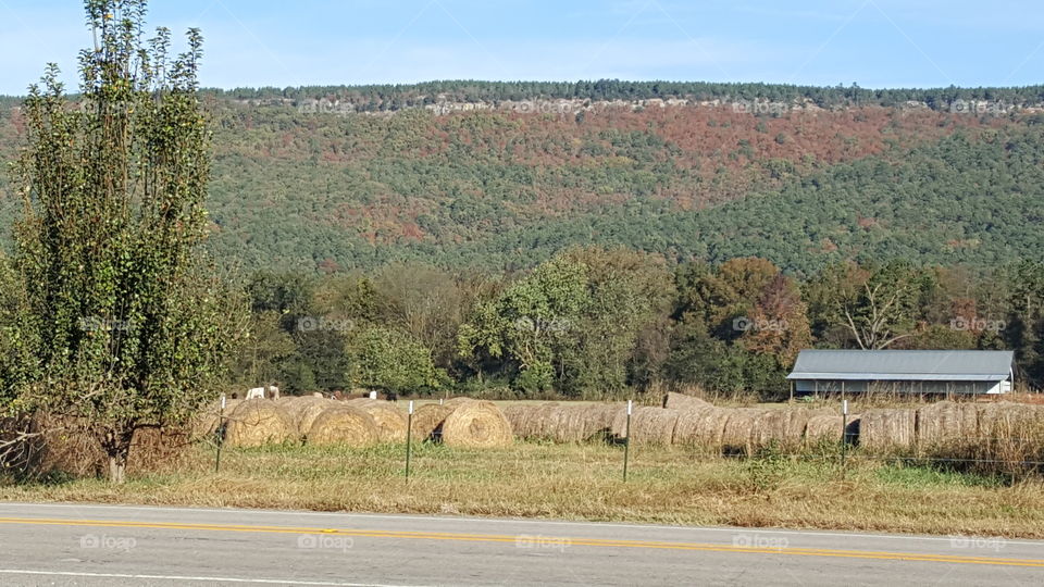 Arkansas Landscape 