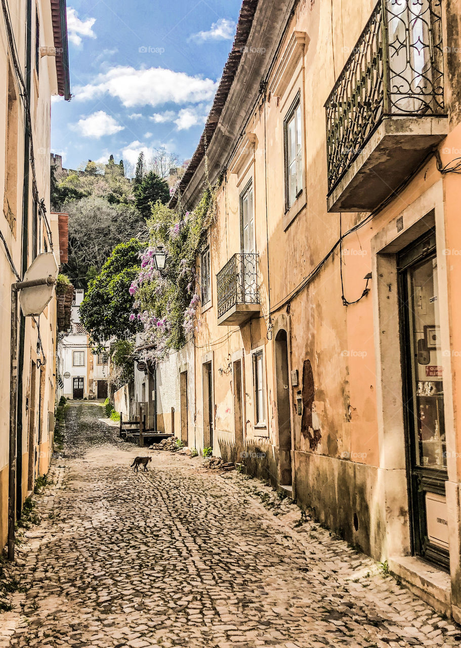 A view up a cobbled street lined with pale orange and yellow buildings. Along the street purple wisteria covers the walls, leading to pale blue sky in the distance