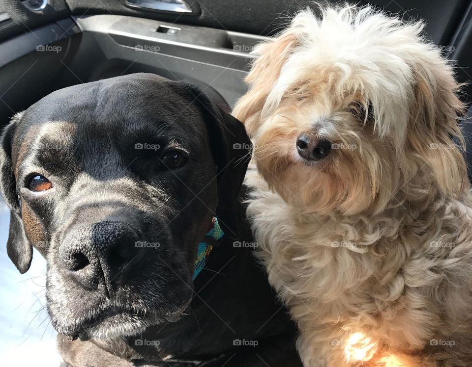 Going ByeBye together!