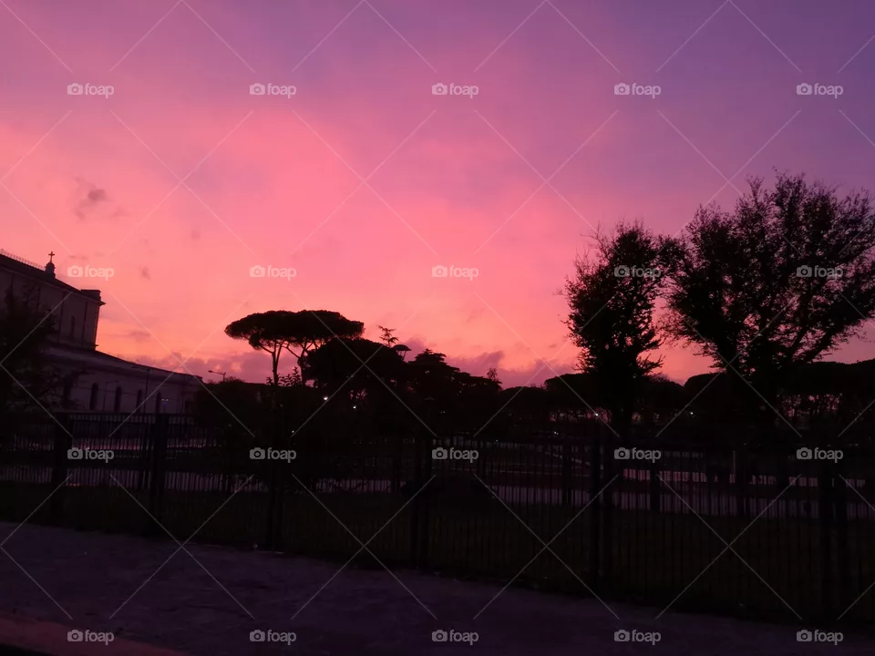 sunset