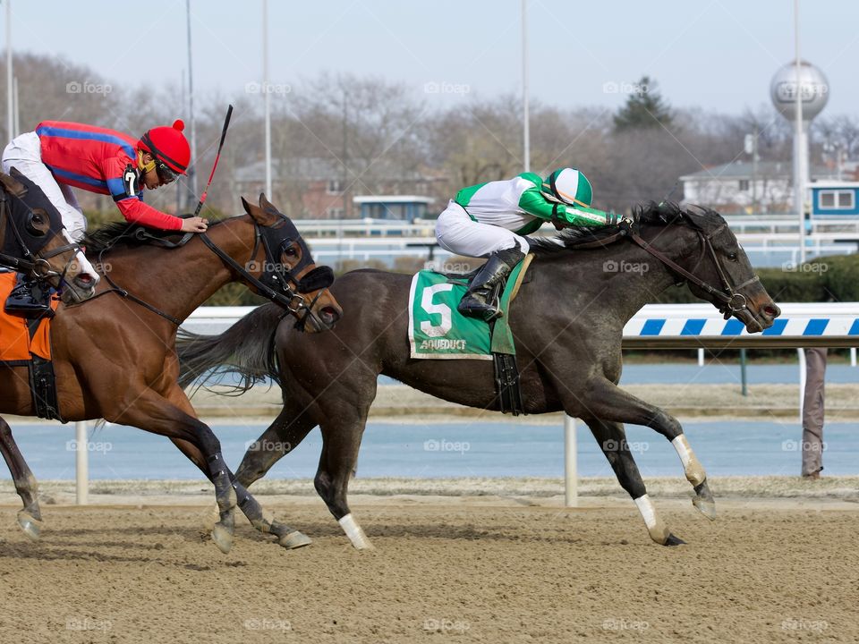 Fantastic Horse Racing Photos by Fleetphoto