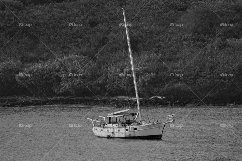A derelict sailboat sits rusting and abandoned