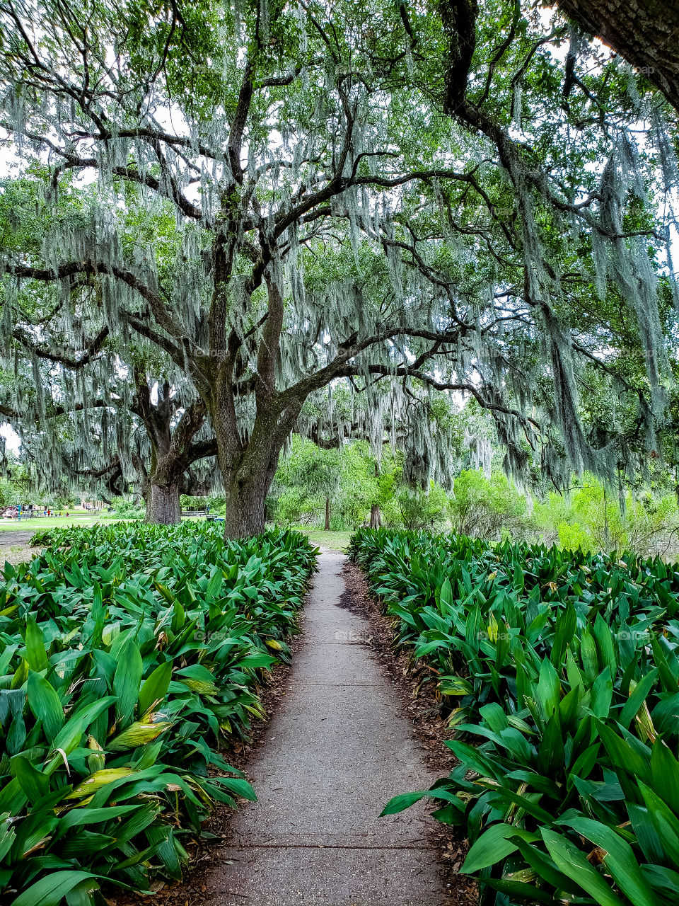 stroll down memory lane.