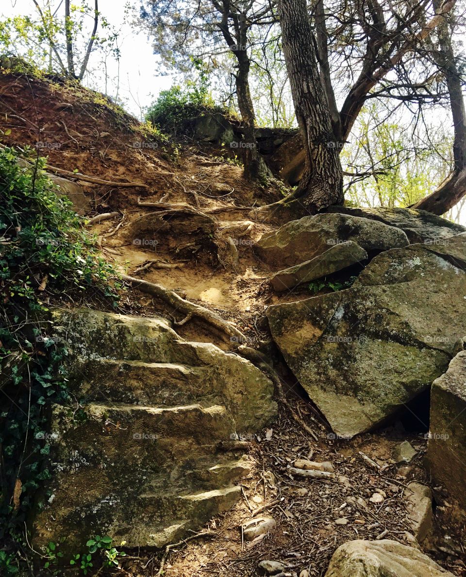 Hiking Path with Rock Steps