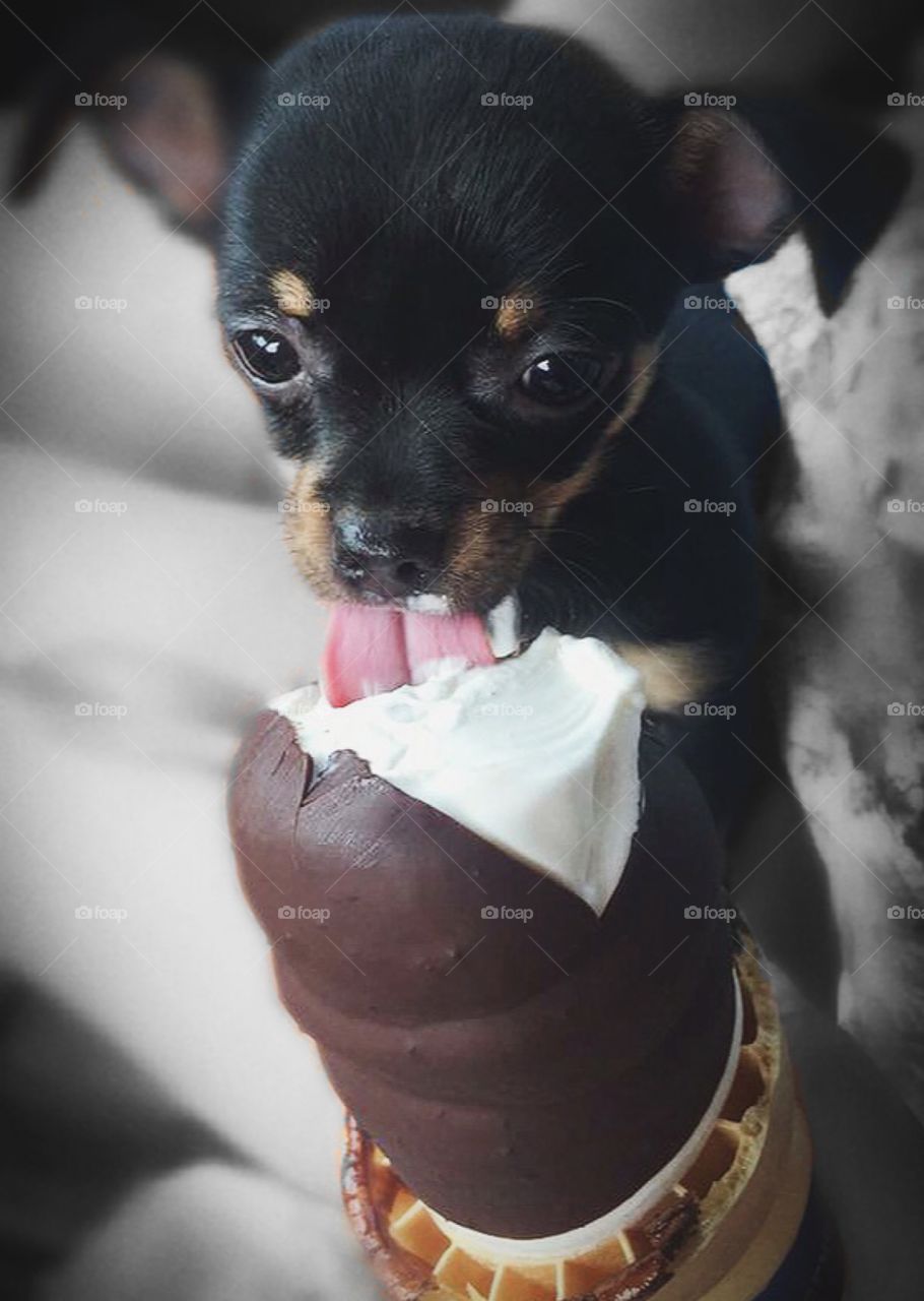 Her very first ice cream cone... it was love at first lick.