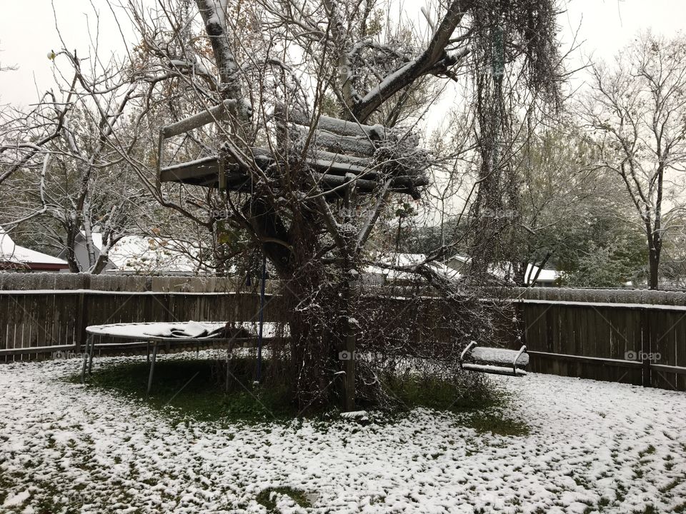 Winter Tree house