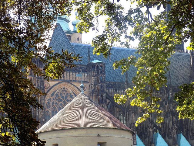Cathedral⛪