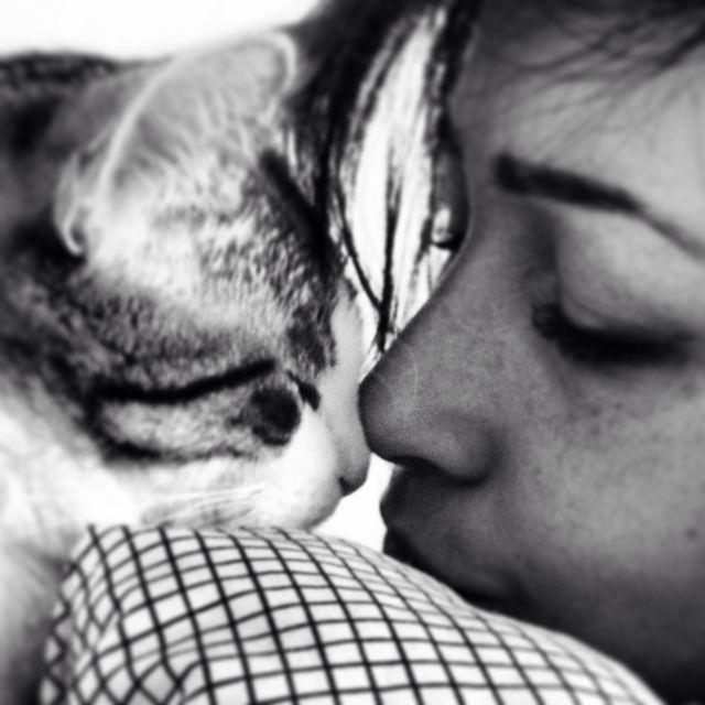 girl cat cats love by ania.g