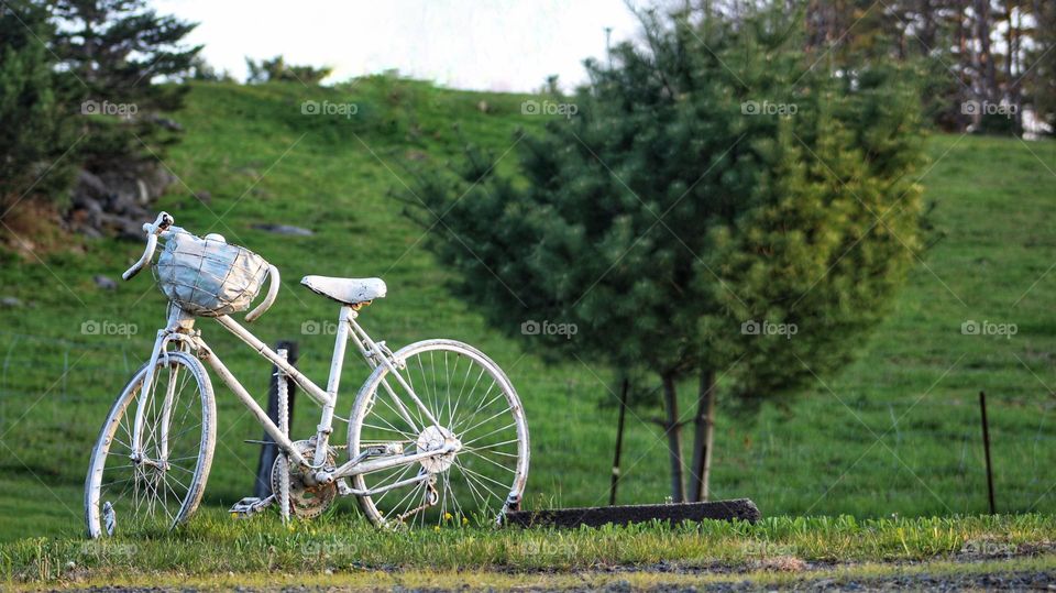 A single white bicycle sits alone in the grass.