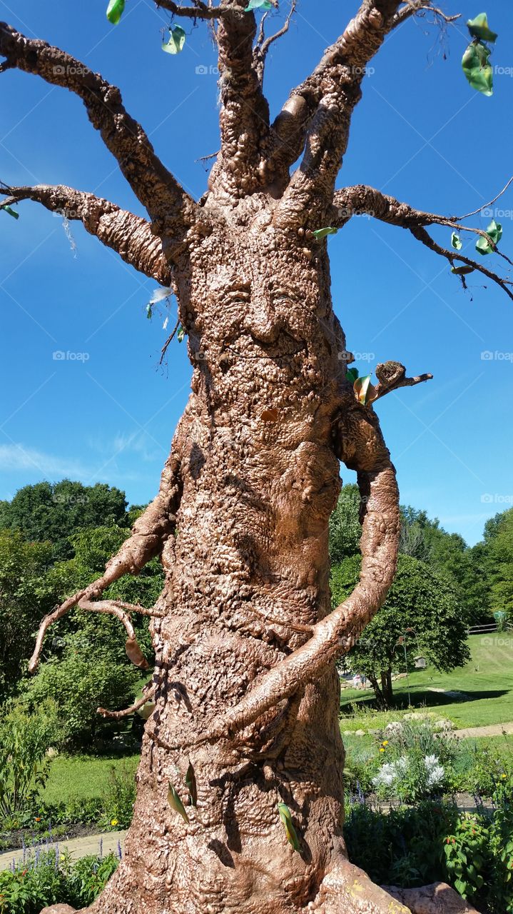 tree person