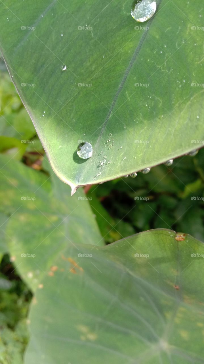 Every single drop has a story to tell...🤩