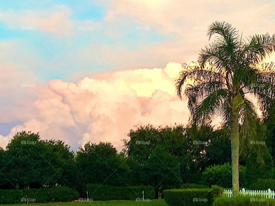 Sunset cloudbank storms skypalm tree green landscape in summer in Florida