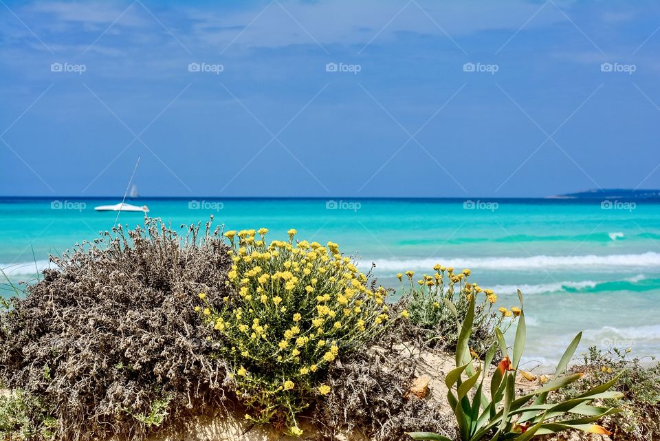 Es Trenc - nature beach, Mallorca 