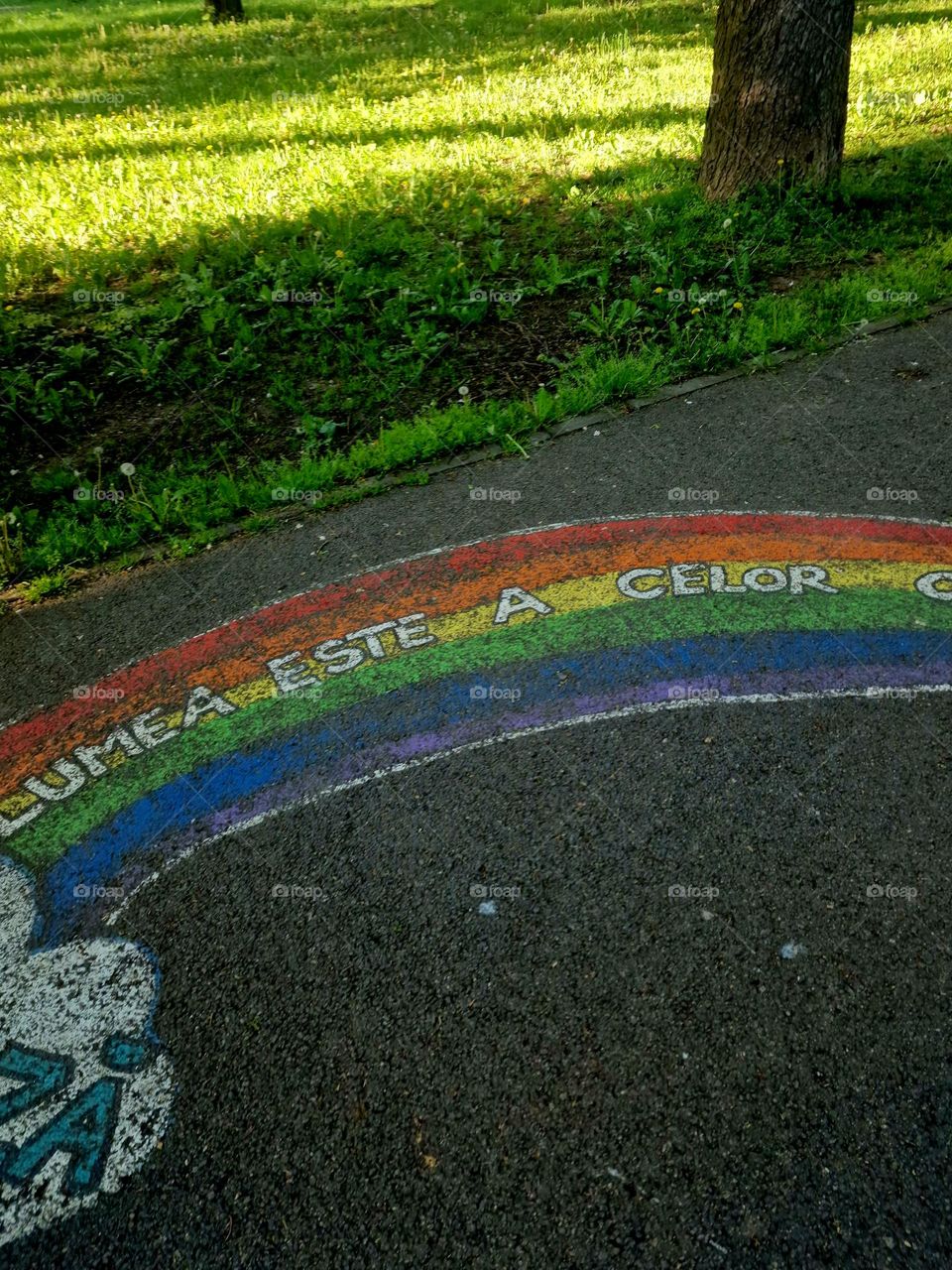 the rainbow on the asphalt