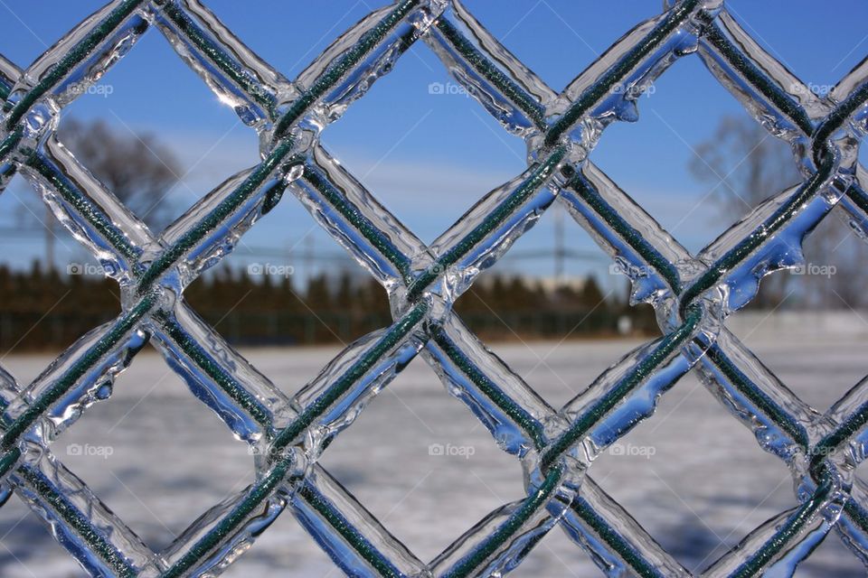 Fence