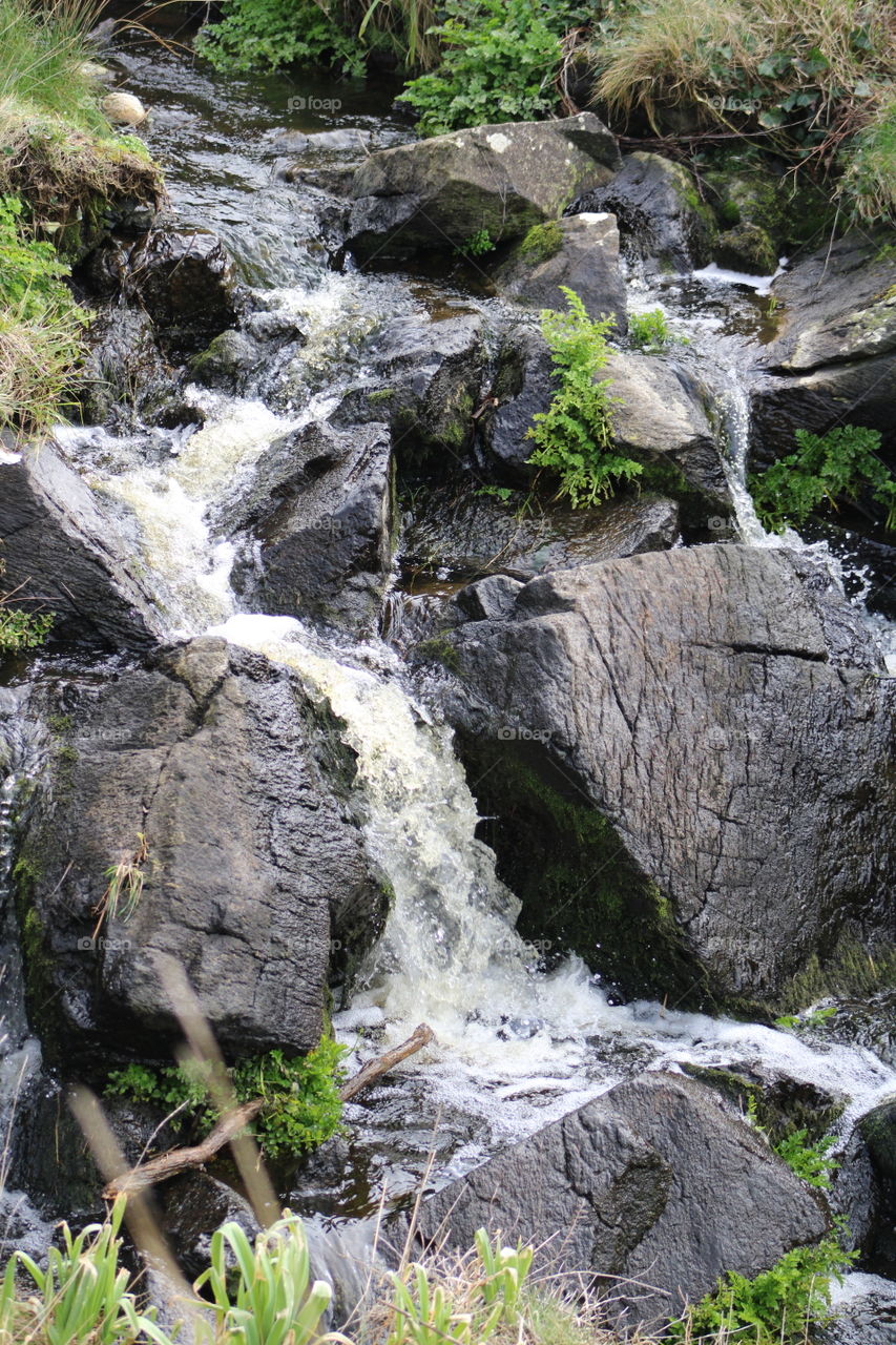 Cornish stream