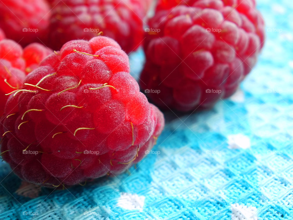 Macro shot of red ripe raspberries on blue textile background 