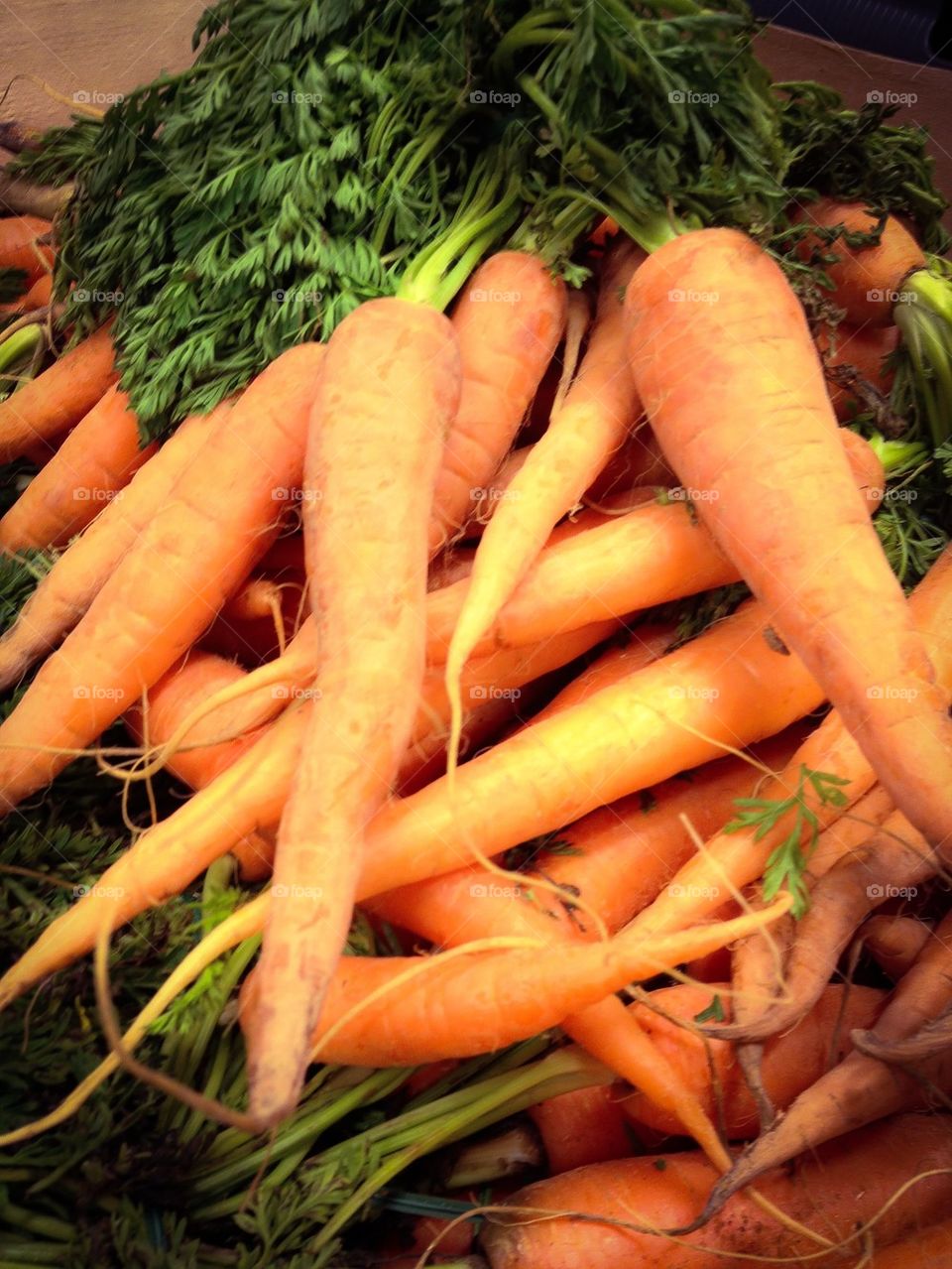 Carrots