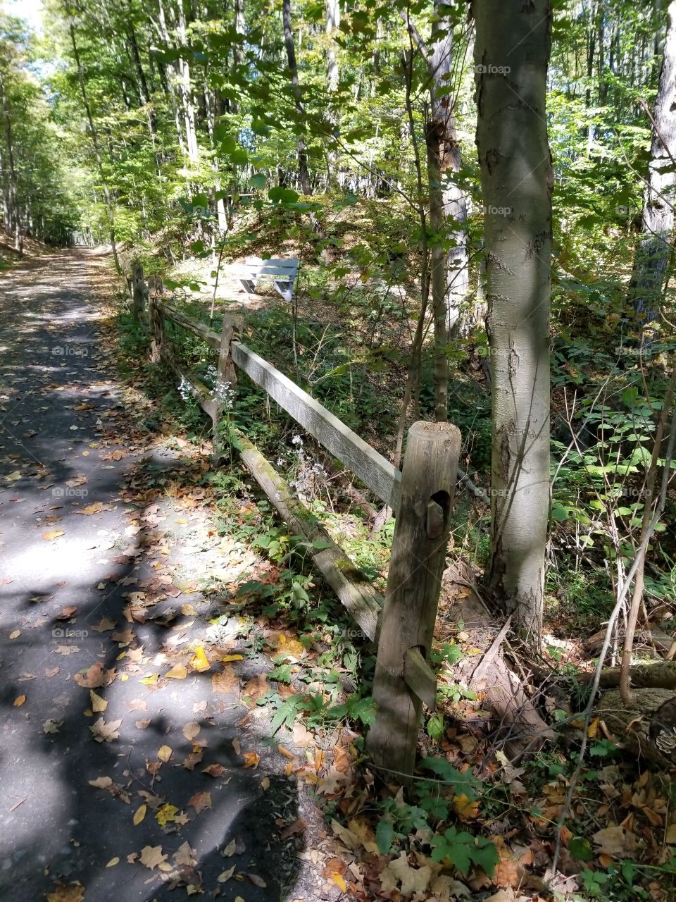 Fence on a path