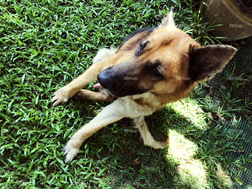 what's that face mean? Just say no for snack in the afternoon make you disappoint that much ?