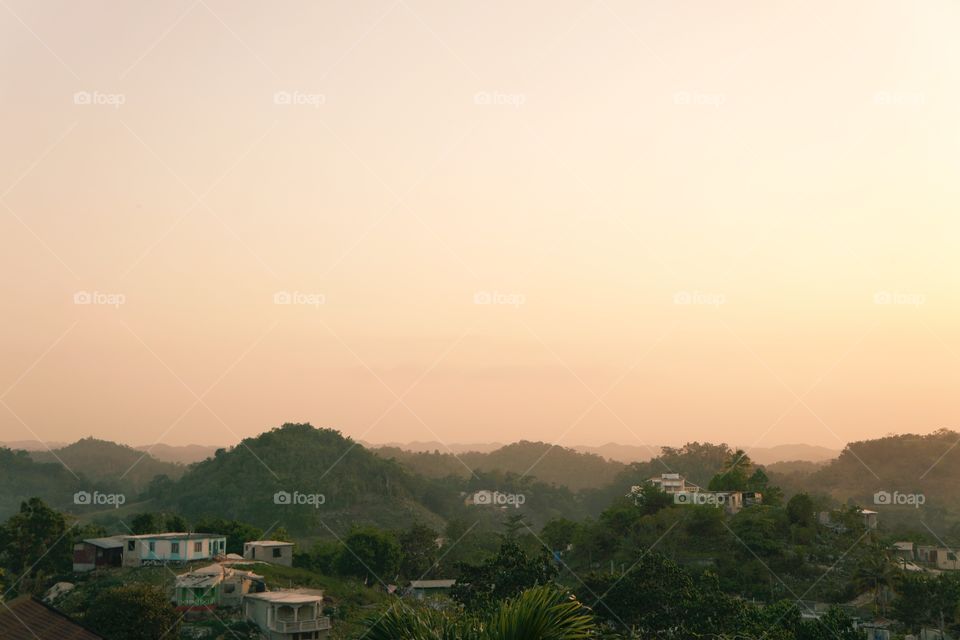 Sunset, No Person, Tree, Landscape, Fog