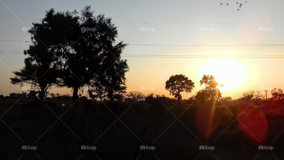 Landscape, Tree, Dawn, Sunset, Evening