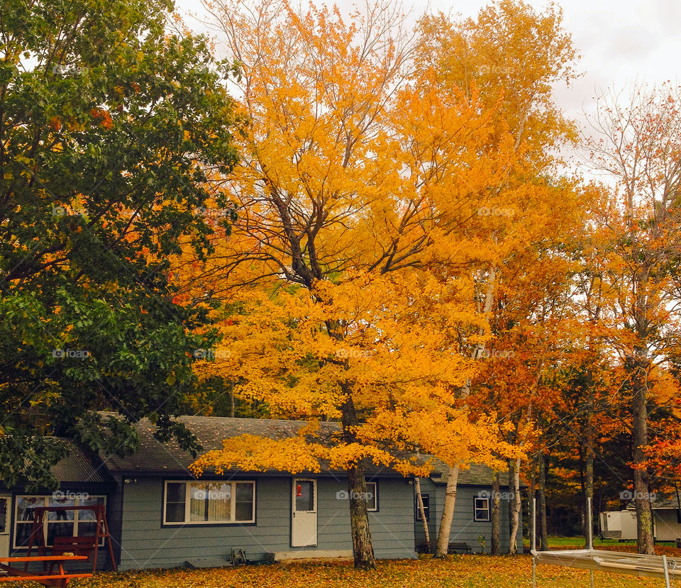 Autumn at a Maine summer camp