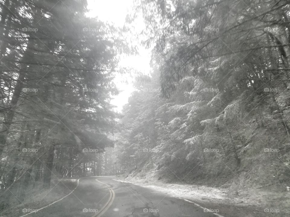 Through the Unexpected Snow