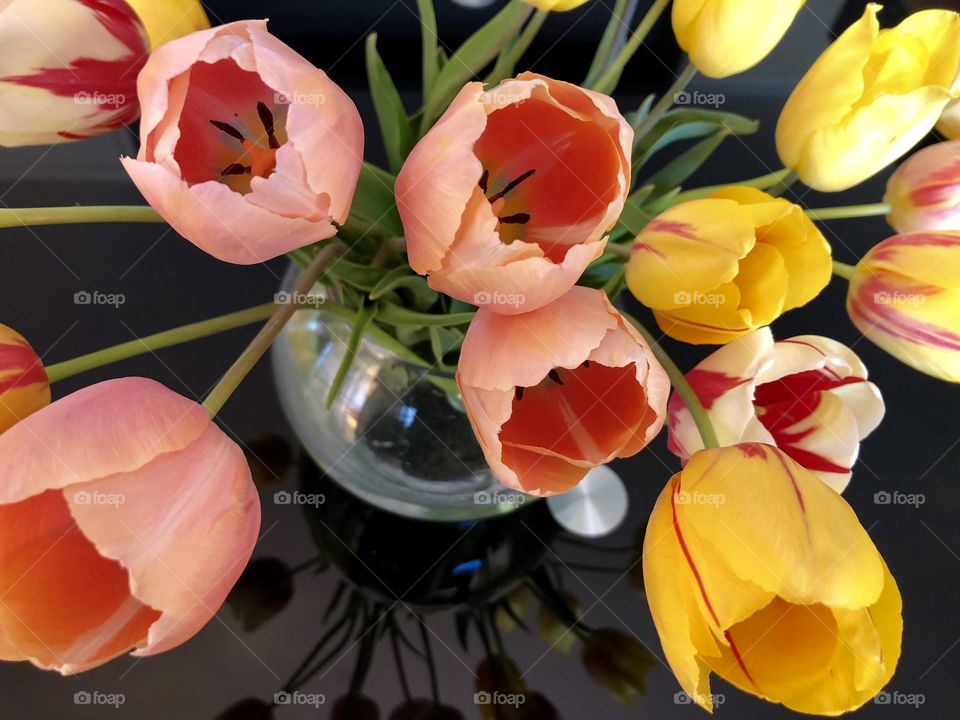 Tulips bouquet on the glass table 