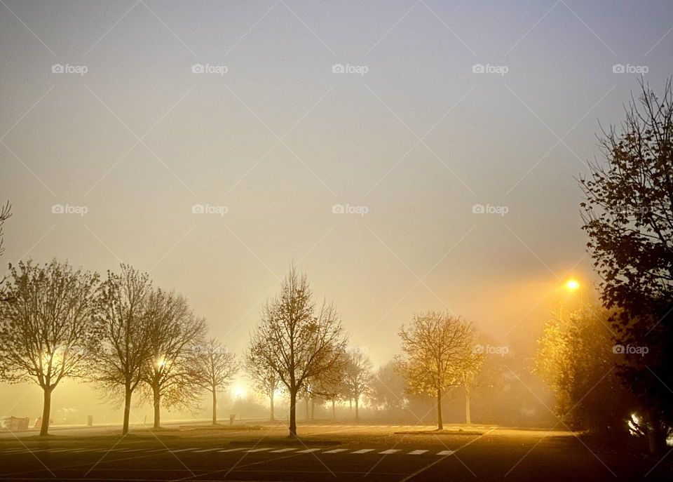 Night , November 2022 . 