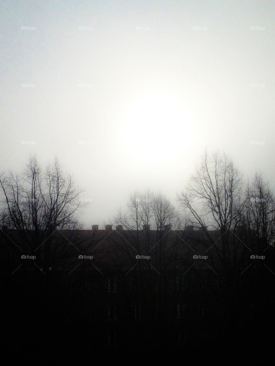 Foggy morning over the roofs