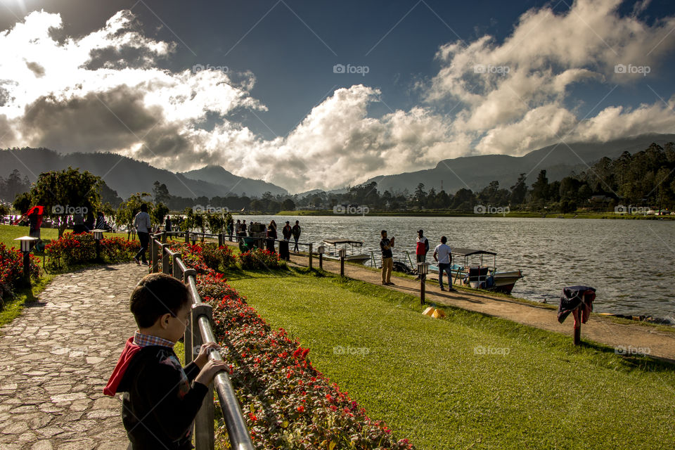 Scenic view of nature