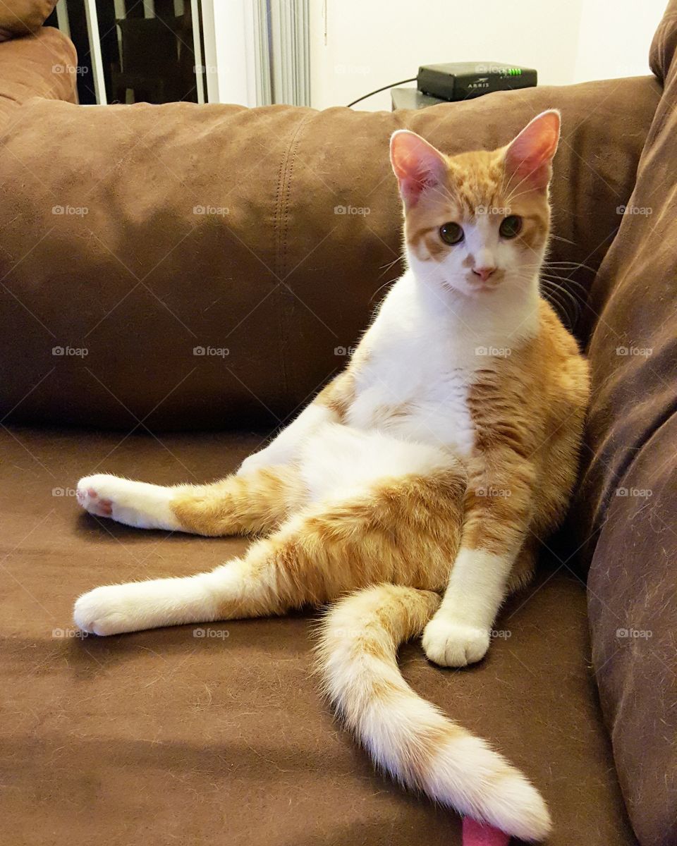 Time to watch a movie!