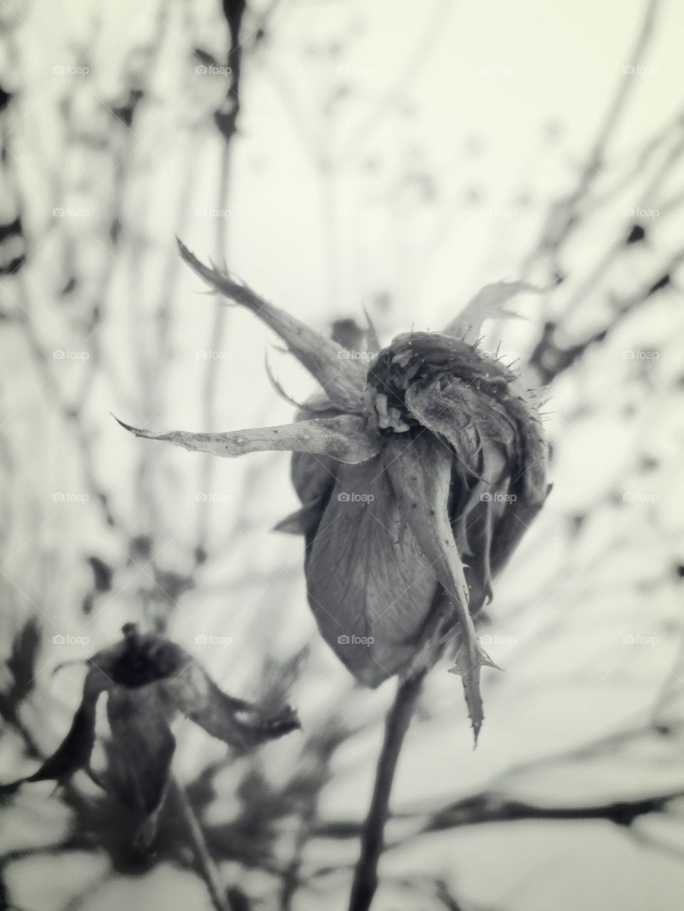 Beauty in the unthinkable 