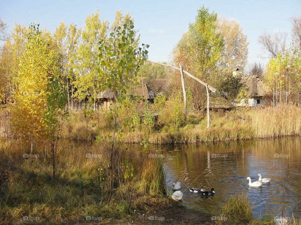 The village in autumn colours