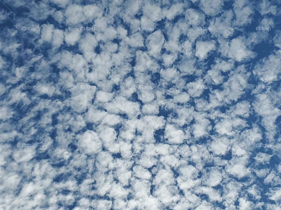 Altocumulus clouds