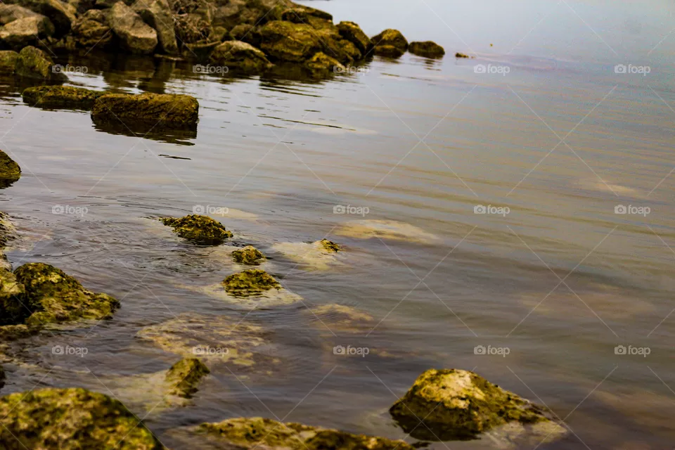 Rocks in the water