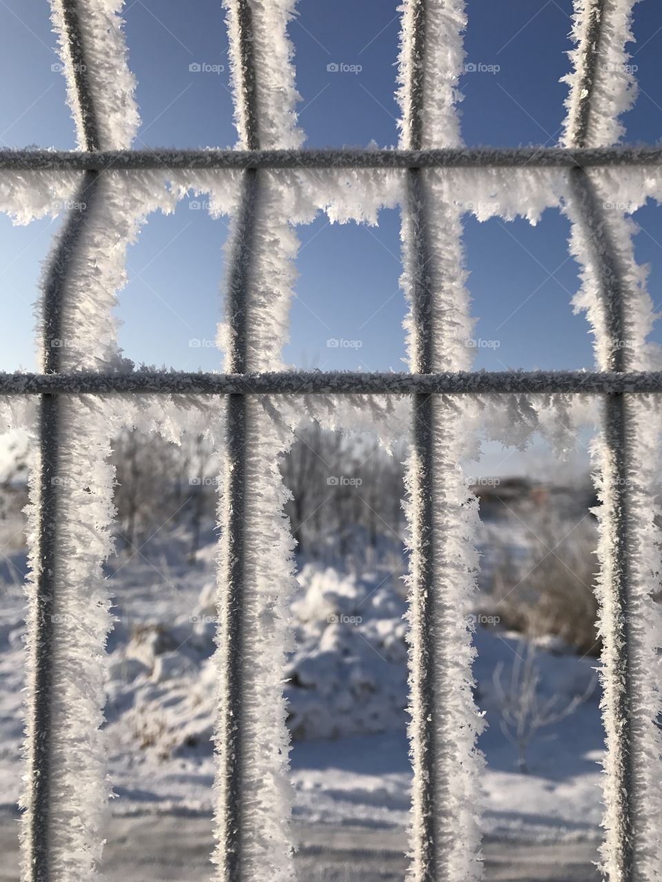 Winter jail 