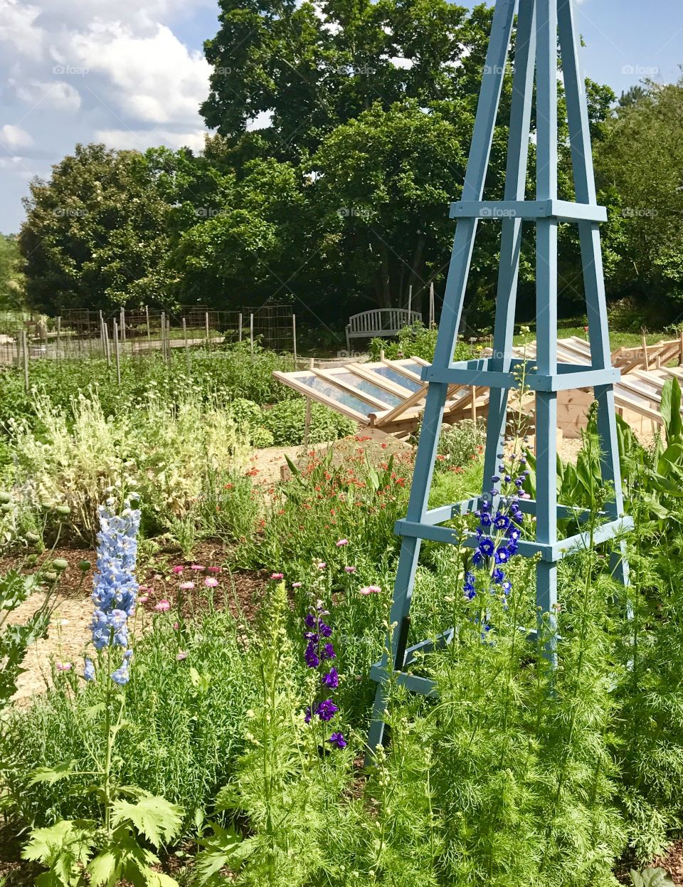 Growing Garden