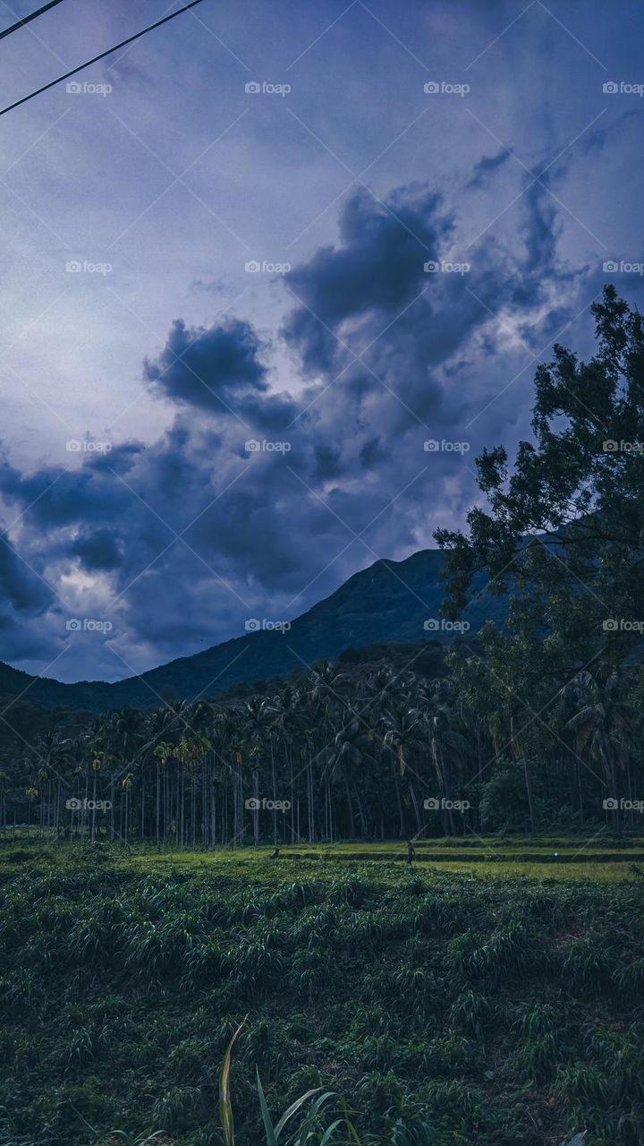 kerala, Palakkad