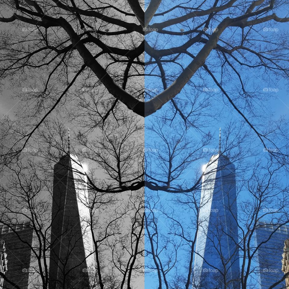 Freedom Tower as seen from lower Manhattan in the sunlight