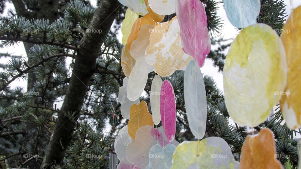 Peeling shell chimes hanging on a Charlie Brown tree 