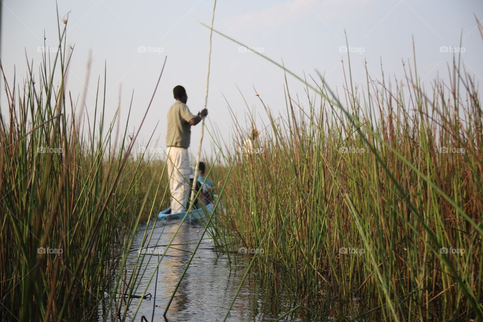 Canoe through the Okavango Delta