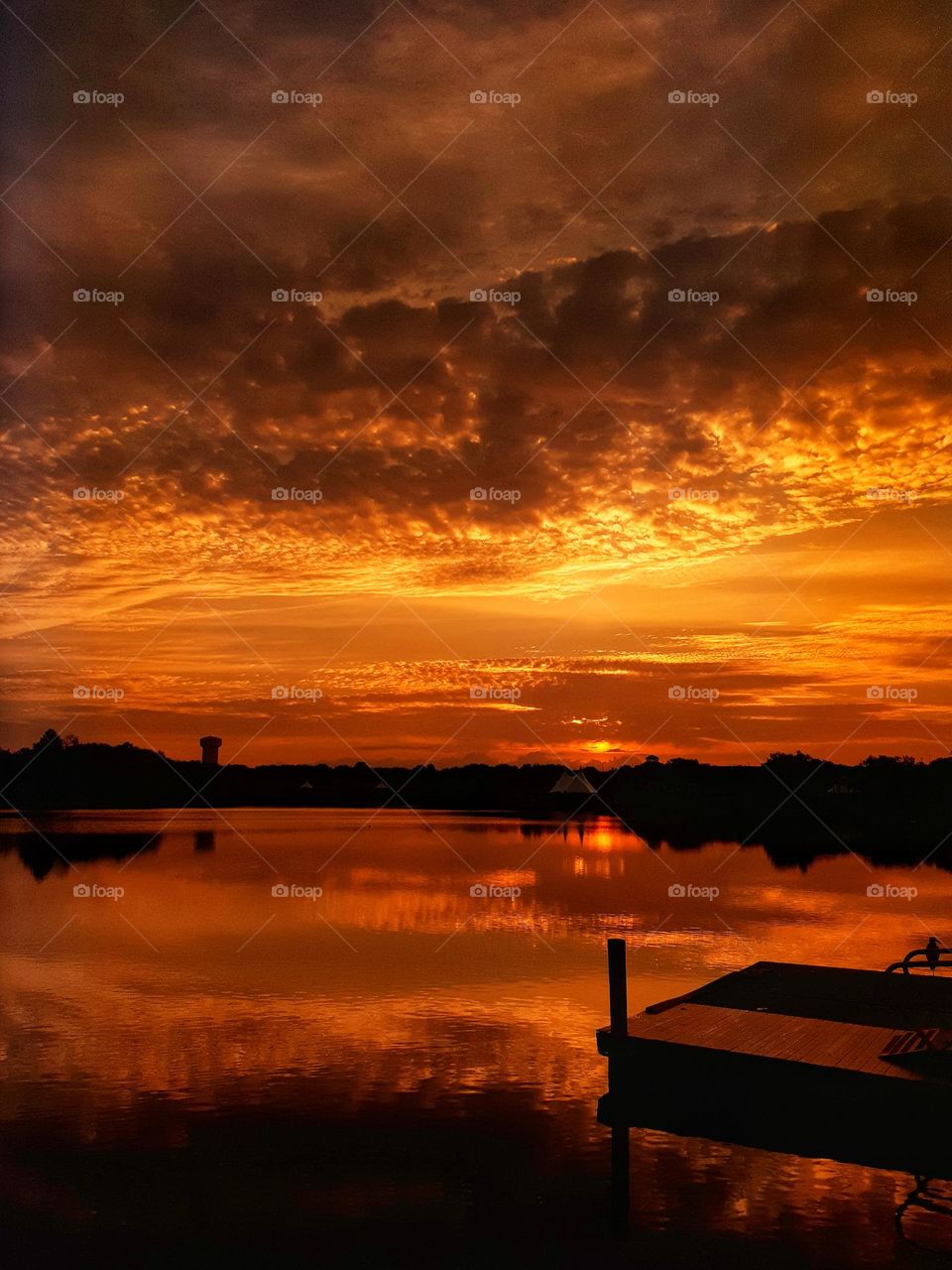 A golden orange sunrise above the lake at Cranes Roost Park in Altamonte Springs, Florida.