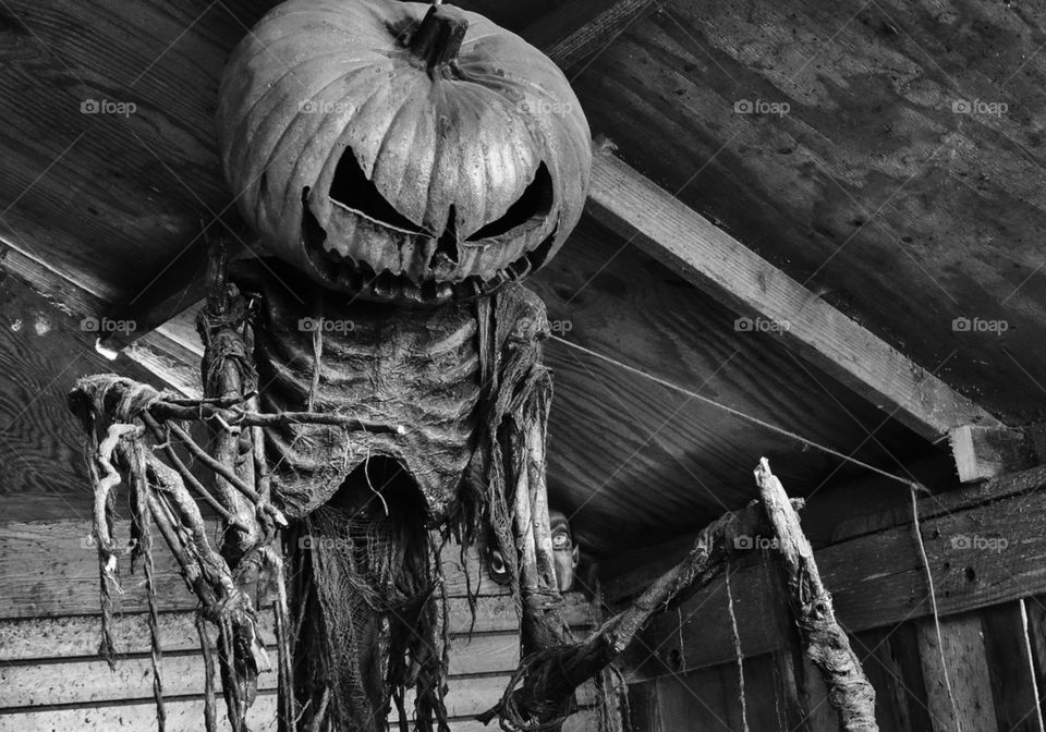 Scary Halloween Pumpkin Monster