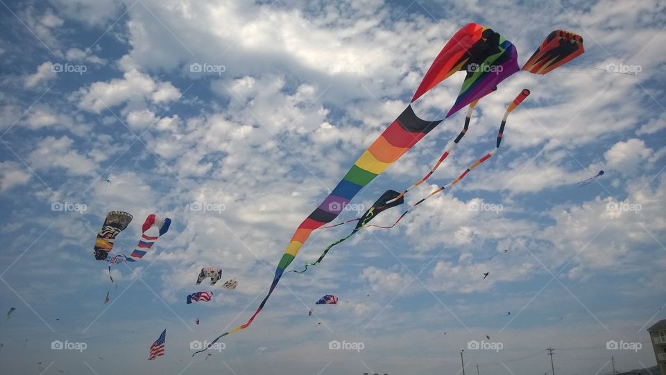 Kite festival 
